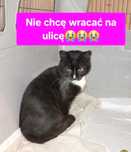PILNE:wraca na działki!   On ufa i kocha