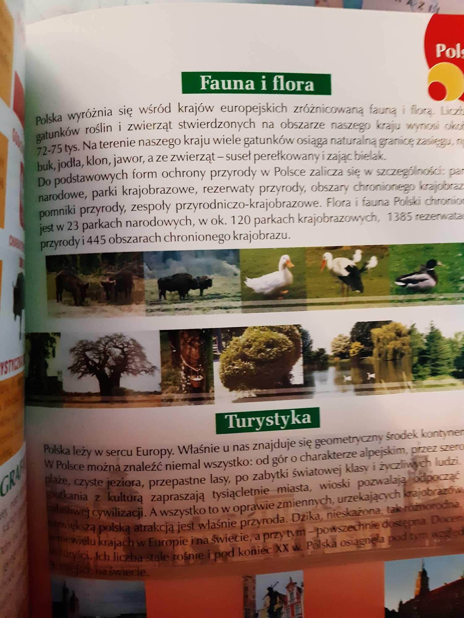 Encyklopedia faktów, wyd. ARTi