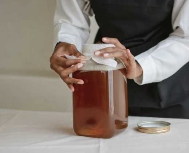3  x Kombucha – grzyb herbaciany 10 cm SCOBY + starter + instrukcja