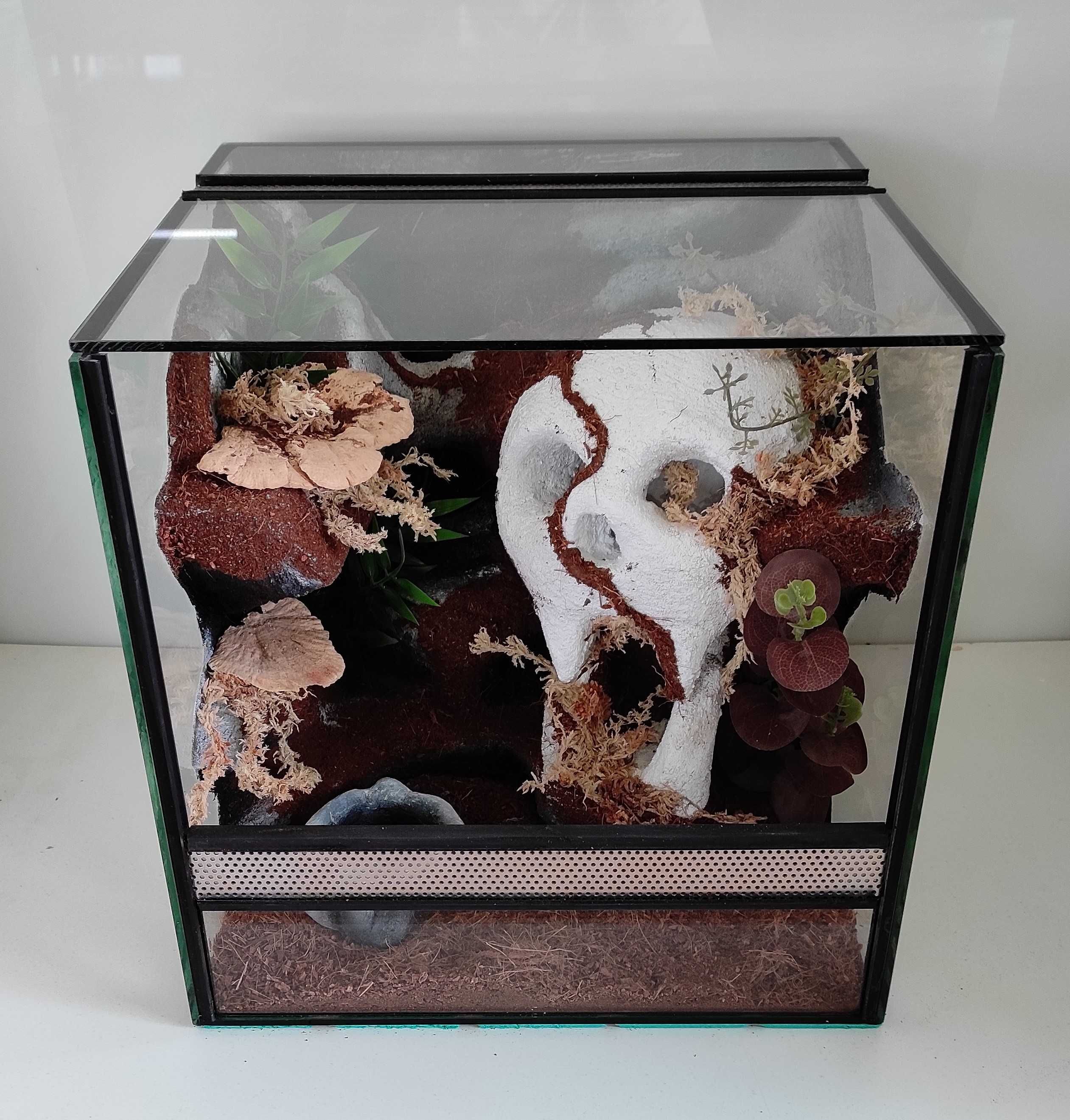 Terrarium dla ptasznika, lasiadory, TW16CzB, AquaWaves