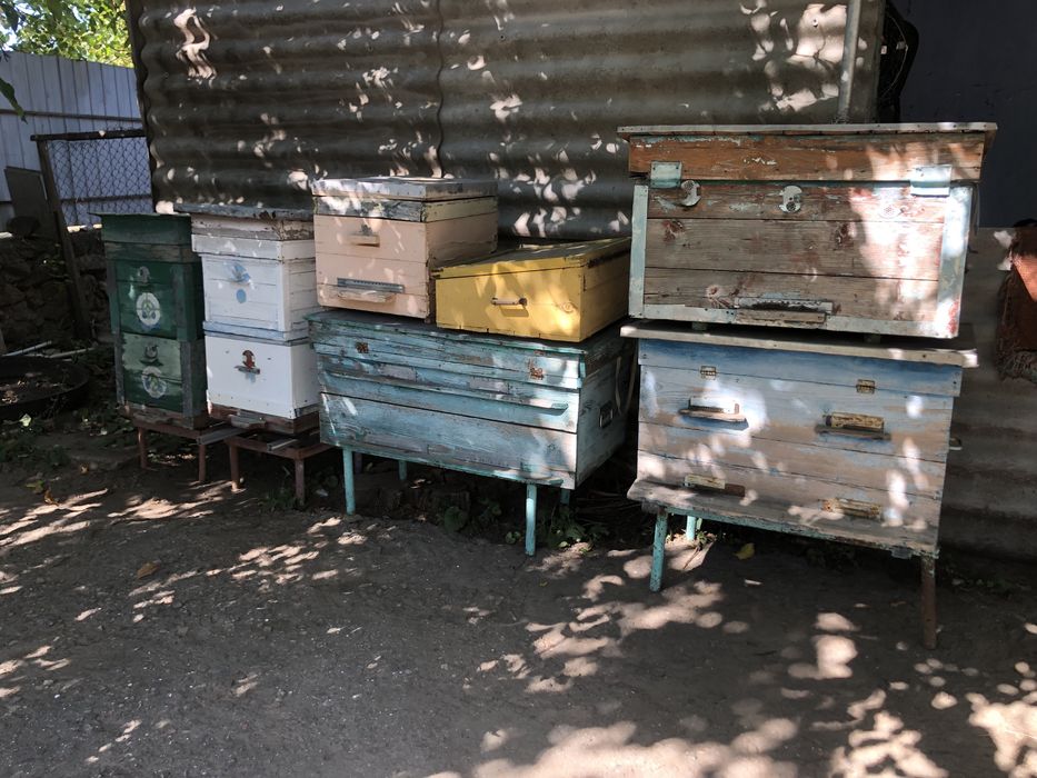 Продам вулики, пасіка