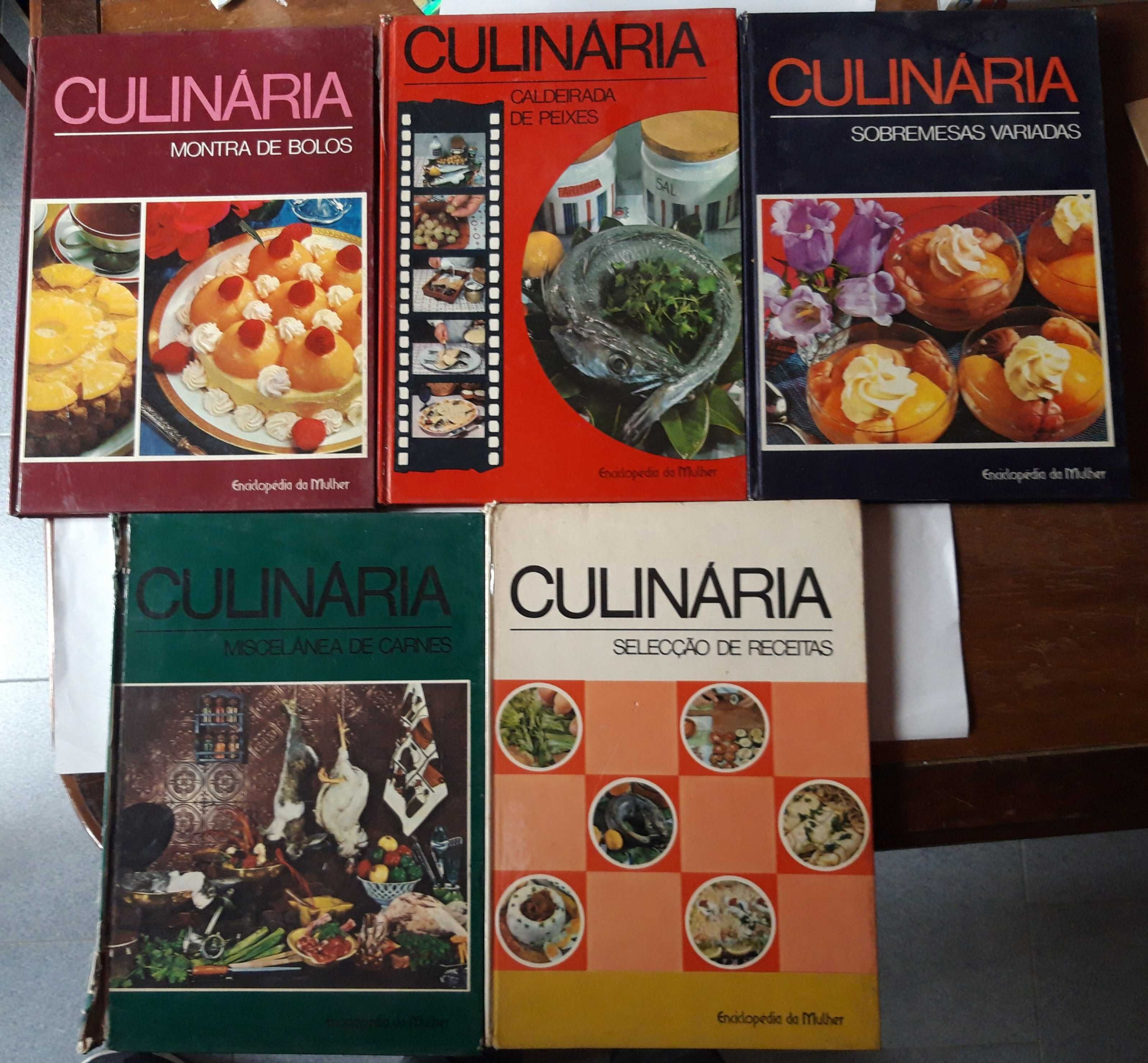 Coleção de Livros - Dolores Cardona - Culinária (Ler Anúncio) VSO