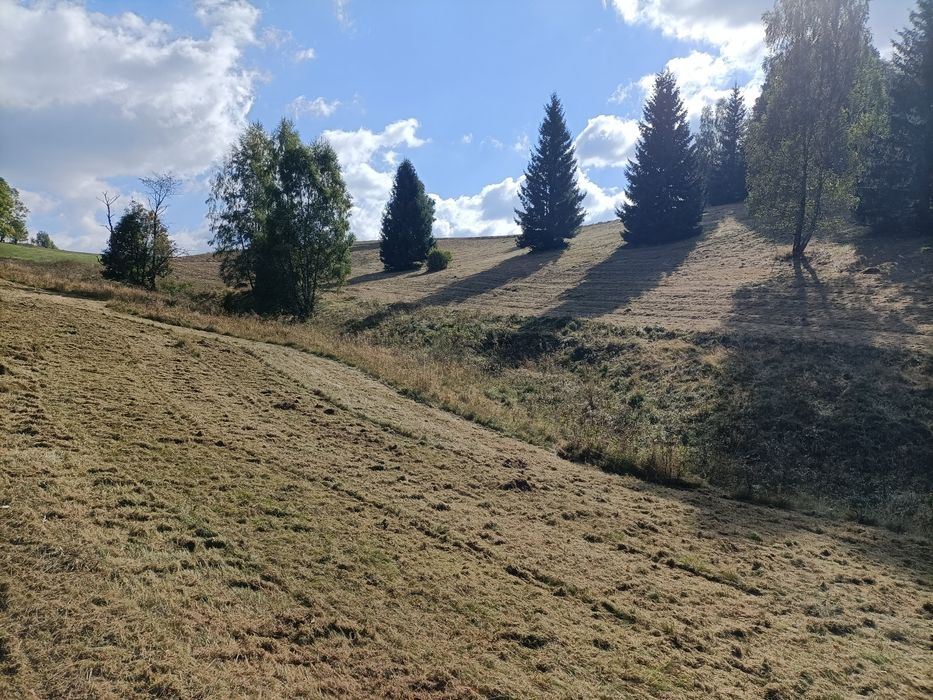 Siano z gór. Małe baloty