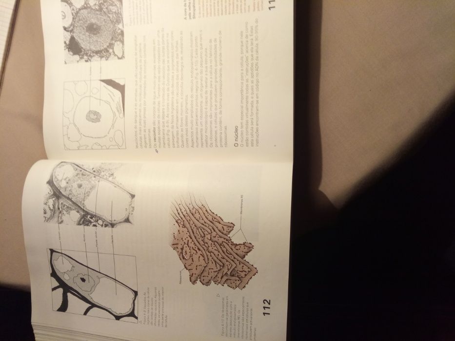 Introdução à Biologia da Fundação Calouste Gulbenkian