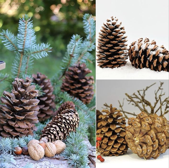 Pinha decorativa para arvore de natal