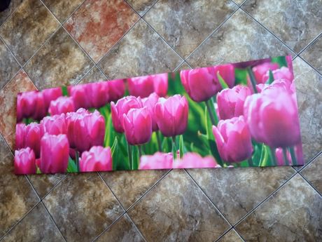 Obraz tulipany - nowy
