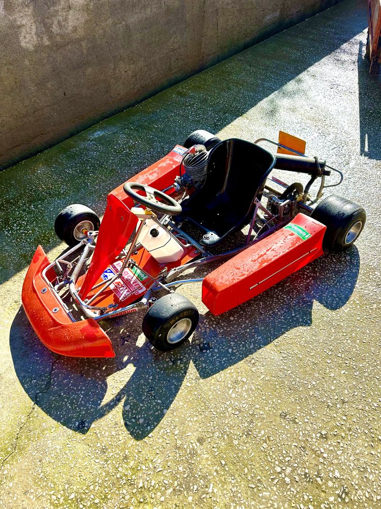 Kart 100 direto motor DAP 100