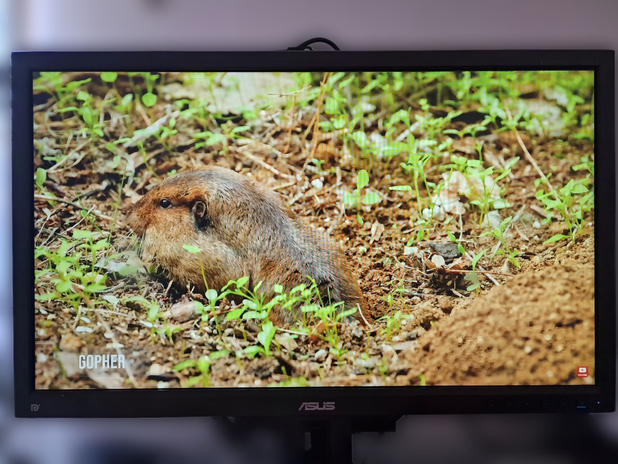 Mini PC Fanless + Monitor ASUS BE239QLB IPS 23" | Windows 11 Pro 24H2