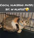 Pokochaj i ucisz szloch i uratuj z tej klatki!