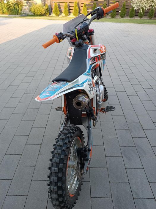 Cross diabolini 125