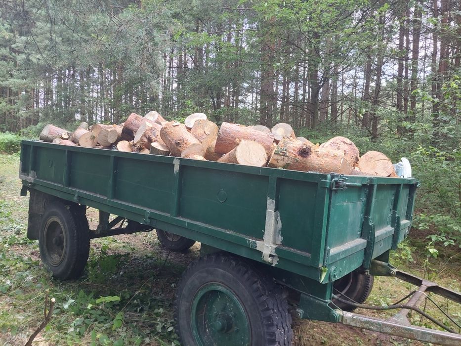 Drzewo opałowe  pocięte