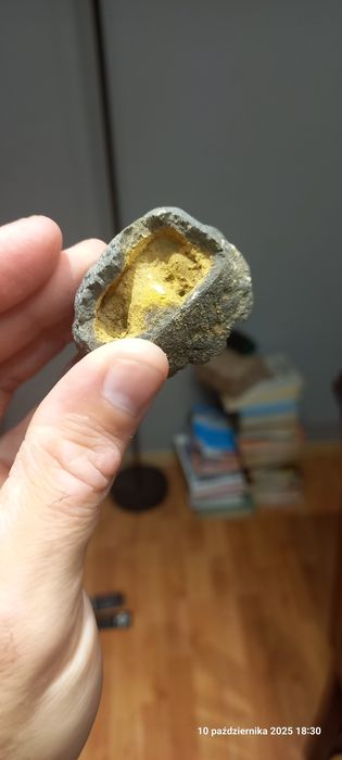 Minerały skamieniałości konkrecja limonitowa