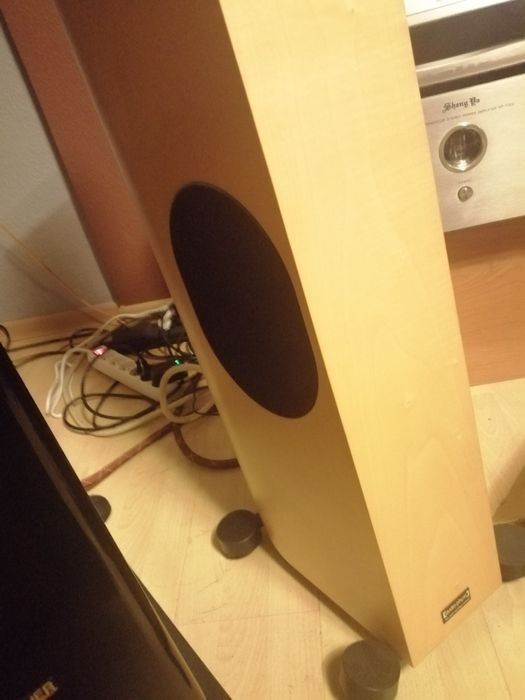Audio Physic Tempo VI kolumny głośnikowe