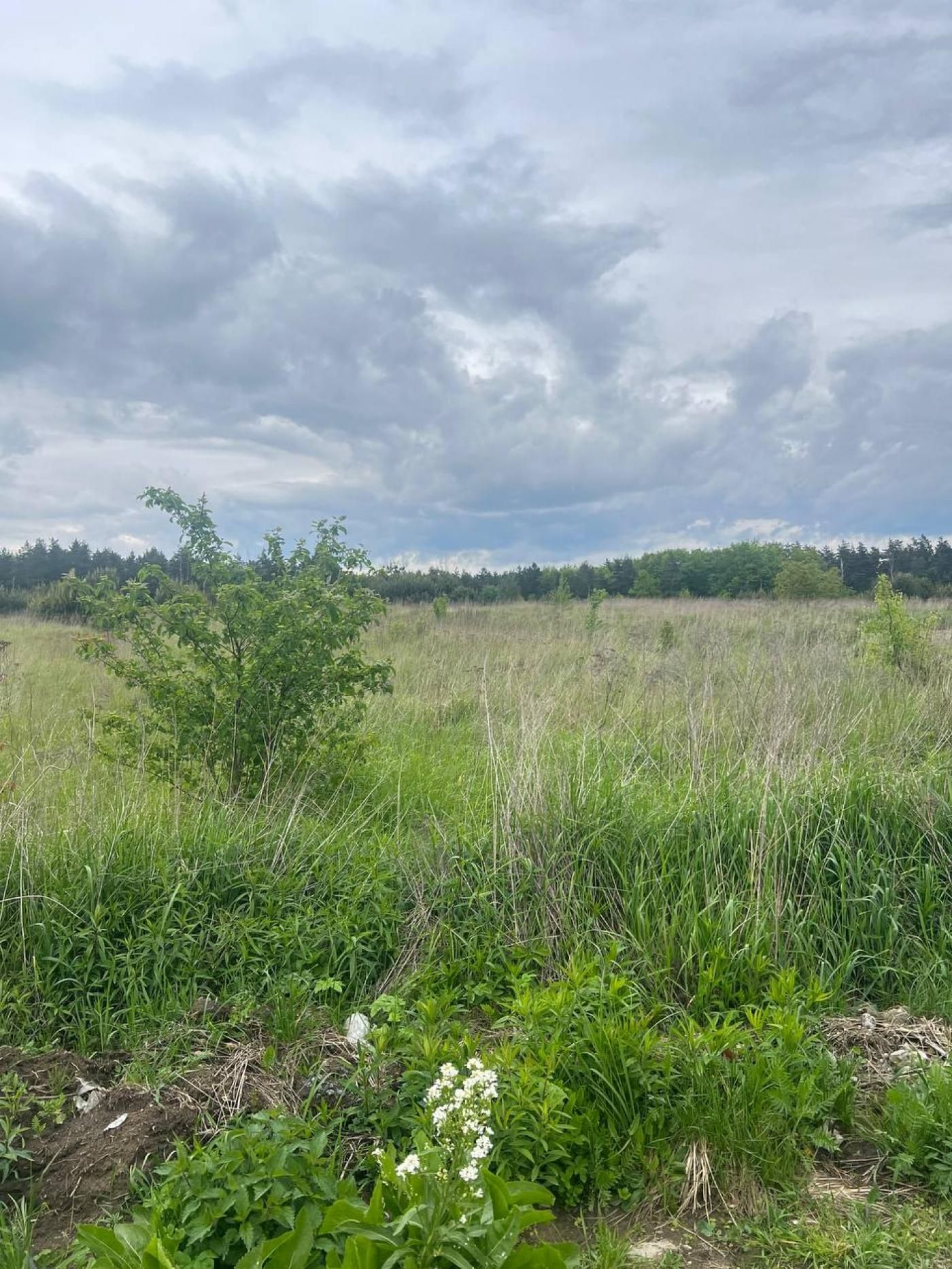 Продається Дачна ділянка Брюховичі