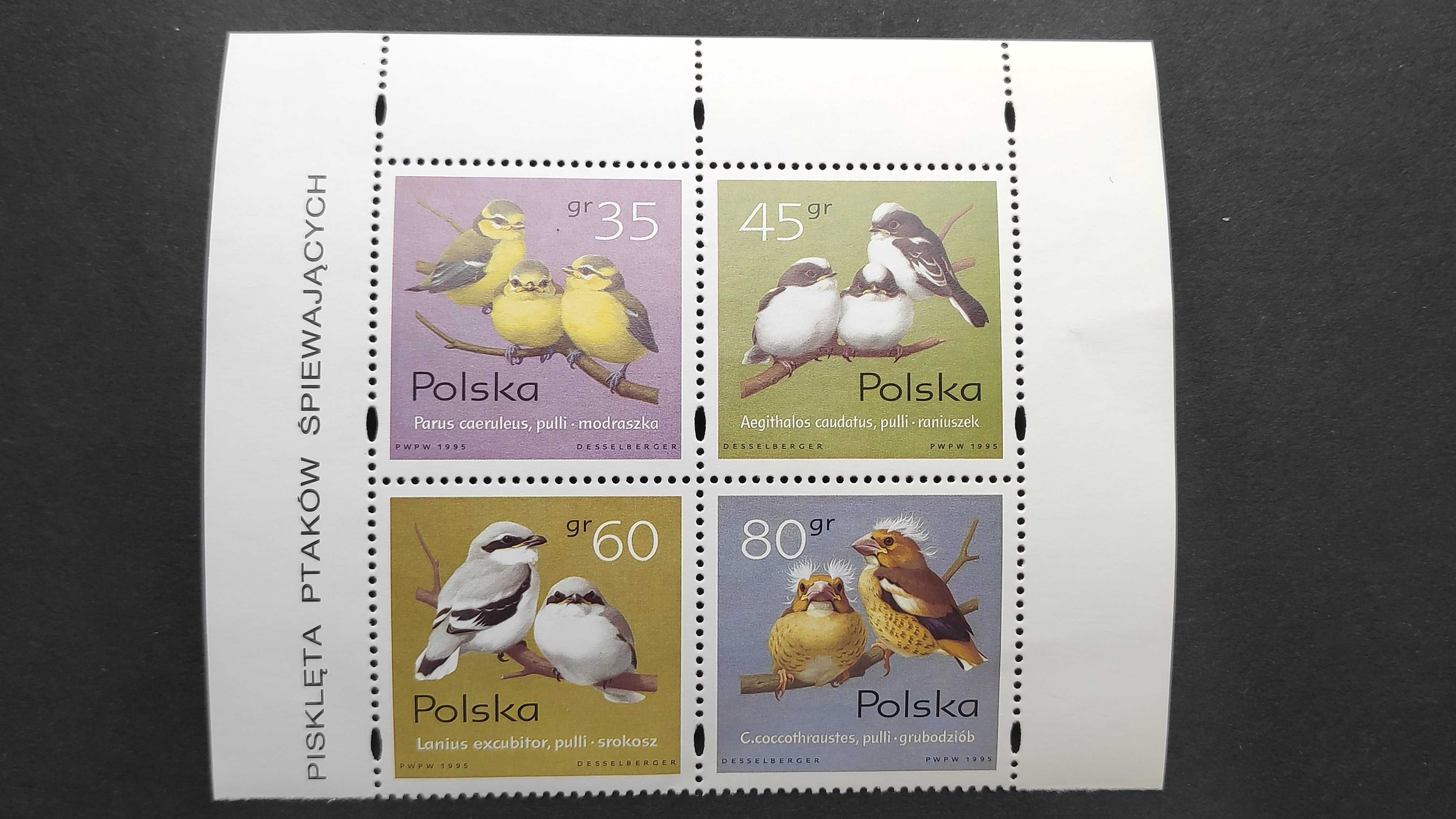 Polska 1995 Fi 3419-22 ** - Pisklęta ptaków śpiewających 3419-22