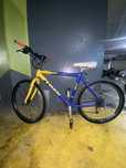 Bicicleta Trek 800 sport