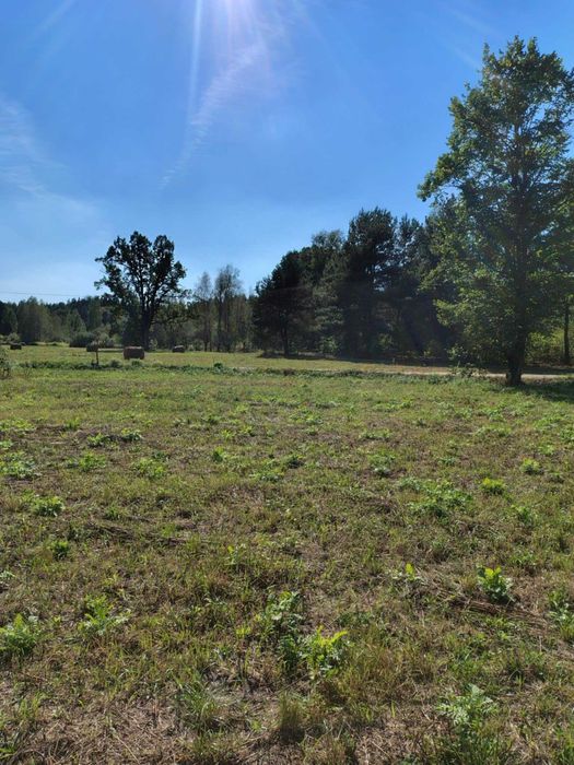 Działka budowlana w Cięciwie