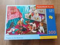Puzzle Castorland, Psy, 300 elementów, 8 plus