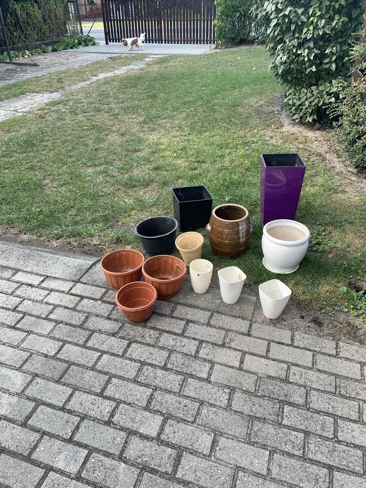 Oddam za darmo doniczki widoczne na zdjeciu