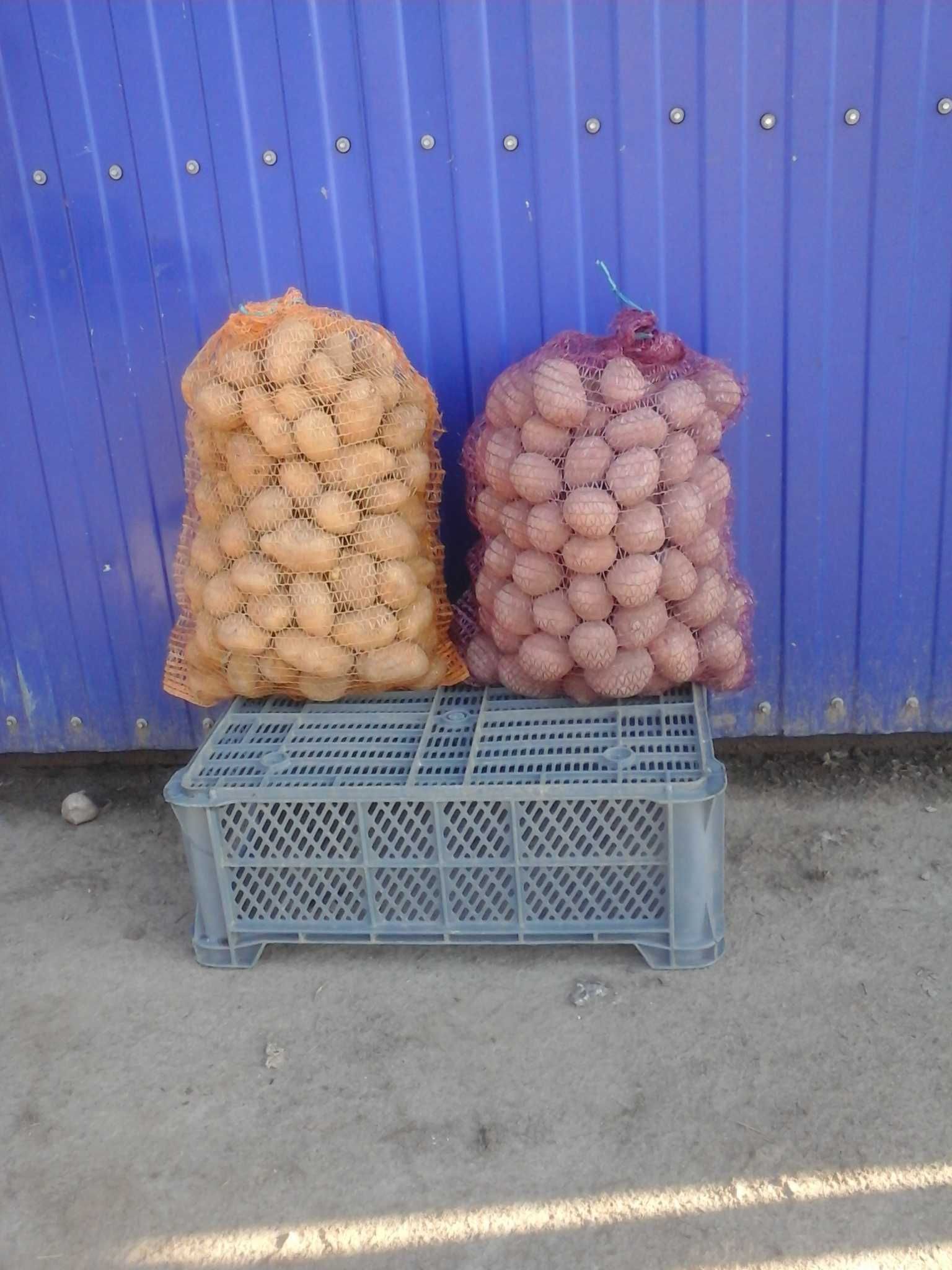 ziemniaki Bellarosa
