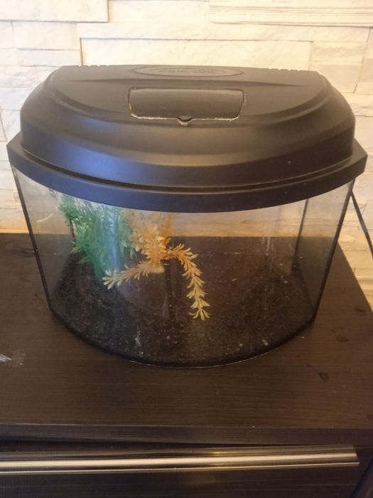 Zestaw akwariowy dla młodego akwarysty