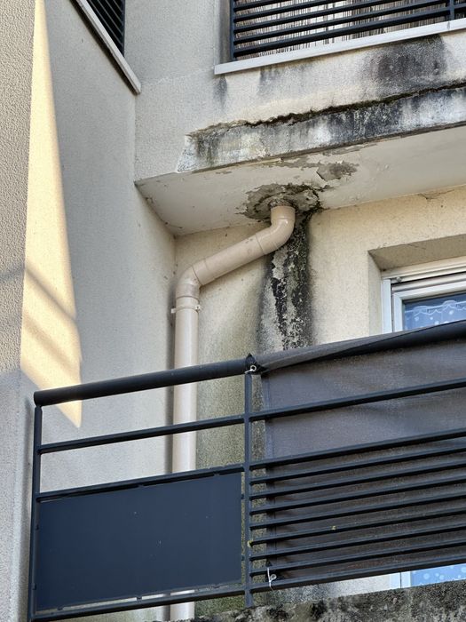 Alpinista, escalador, cordista, irata, rope access.