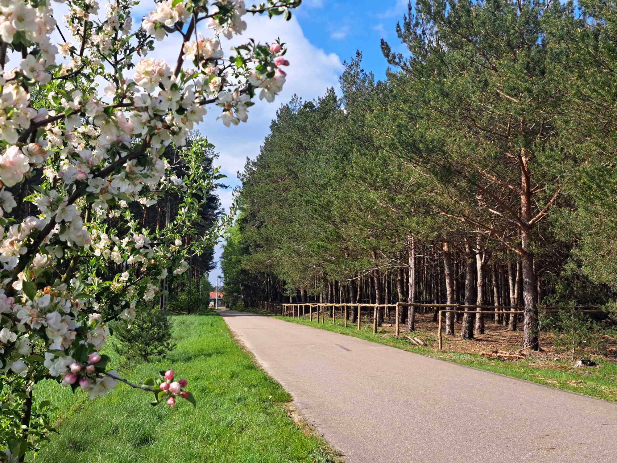 Działka rekreacyjna w ciszy i spokoju Wólka Wojciechówek rzeka Narew