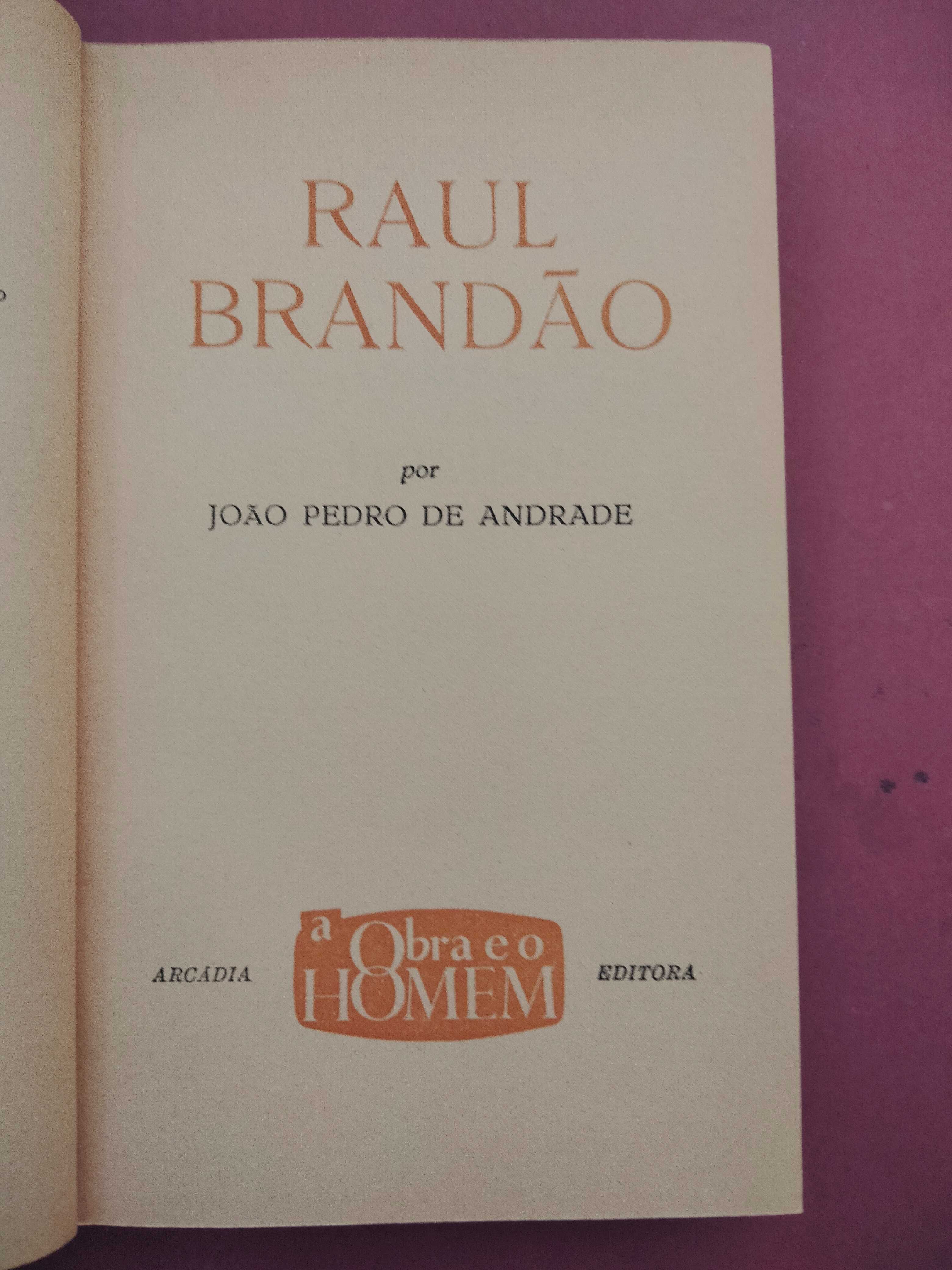 A Obra e o Homem - Raul Brandão - João Pedro Andrade