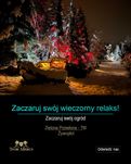 Duże drzewa 10m iglaste tuje szmaragd krzewy żywopłoty sosny szkółka