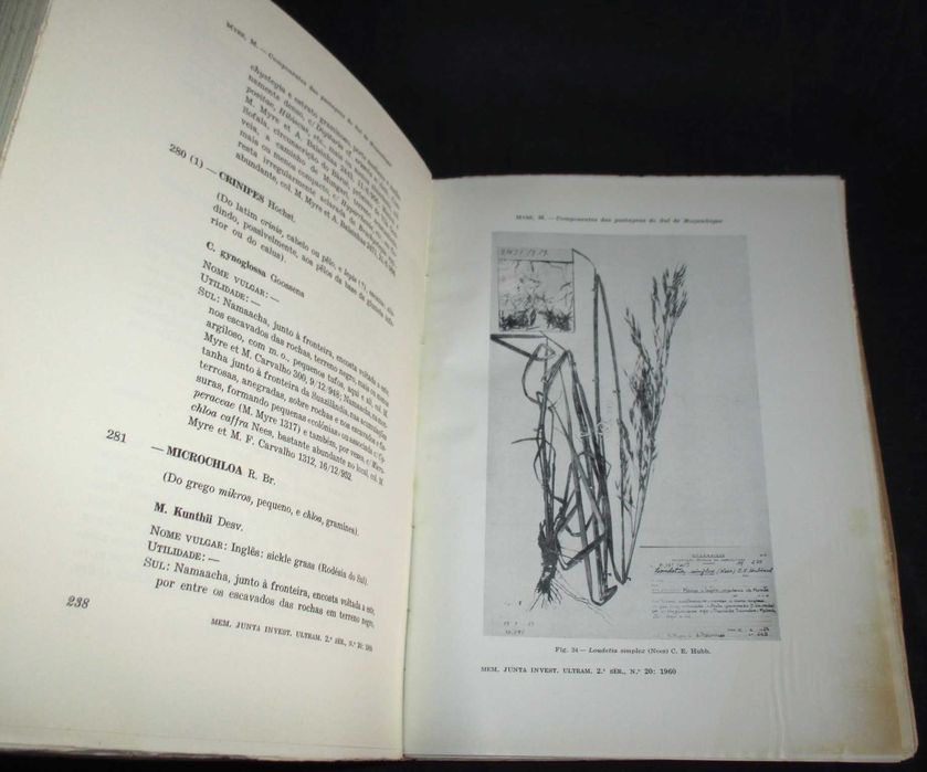Livro Principais componentes das pastagens espontâneas sul Moçambique