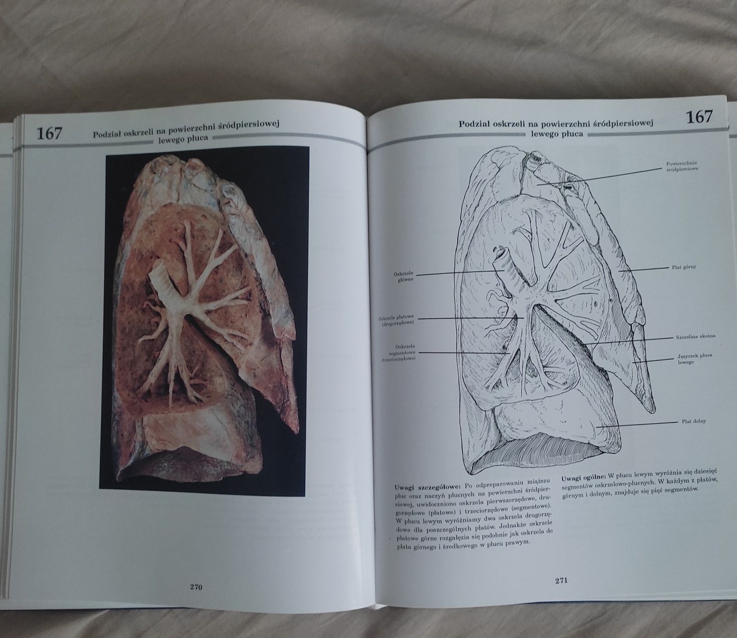 Fotograficzny atlas anatomii człowieka