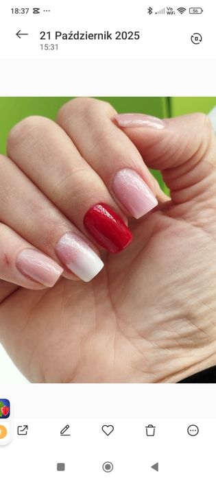 Stylizacja paznokci Silcare