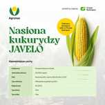 Kukurydza kiszonkarska, kukurydza na kiszonkę, Kukurydza Javelo