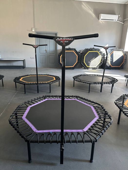 Батут професійний