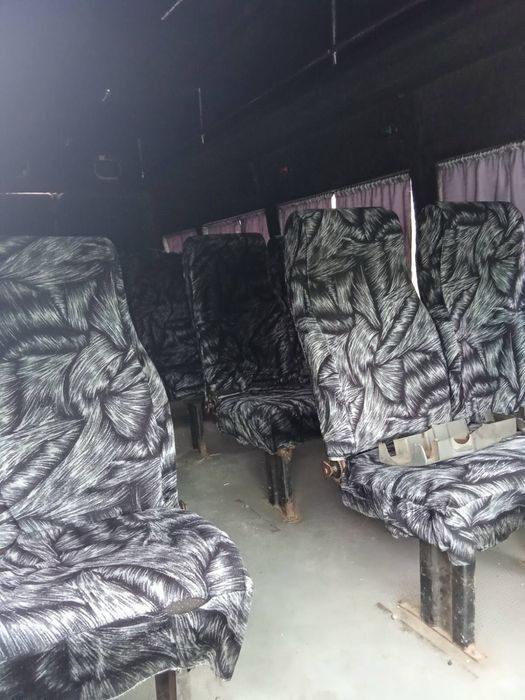 Автобусы iveco daily