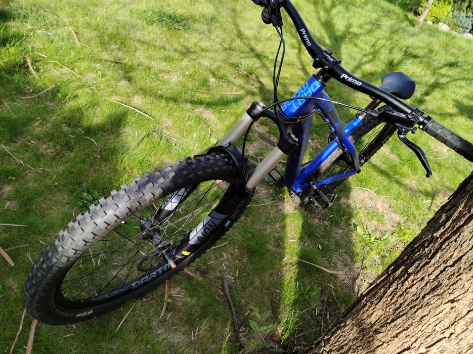 Dartmoor Hornet 2022