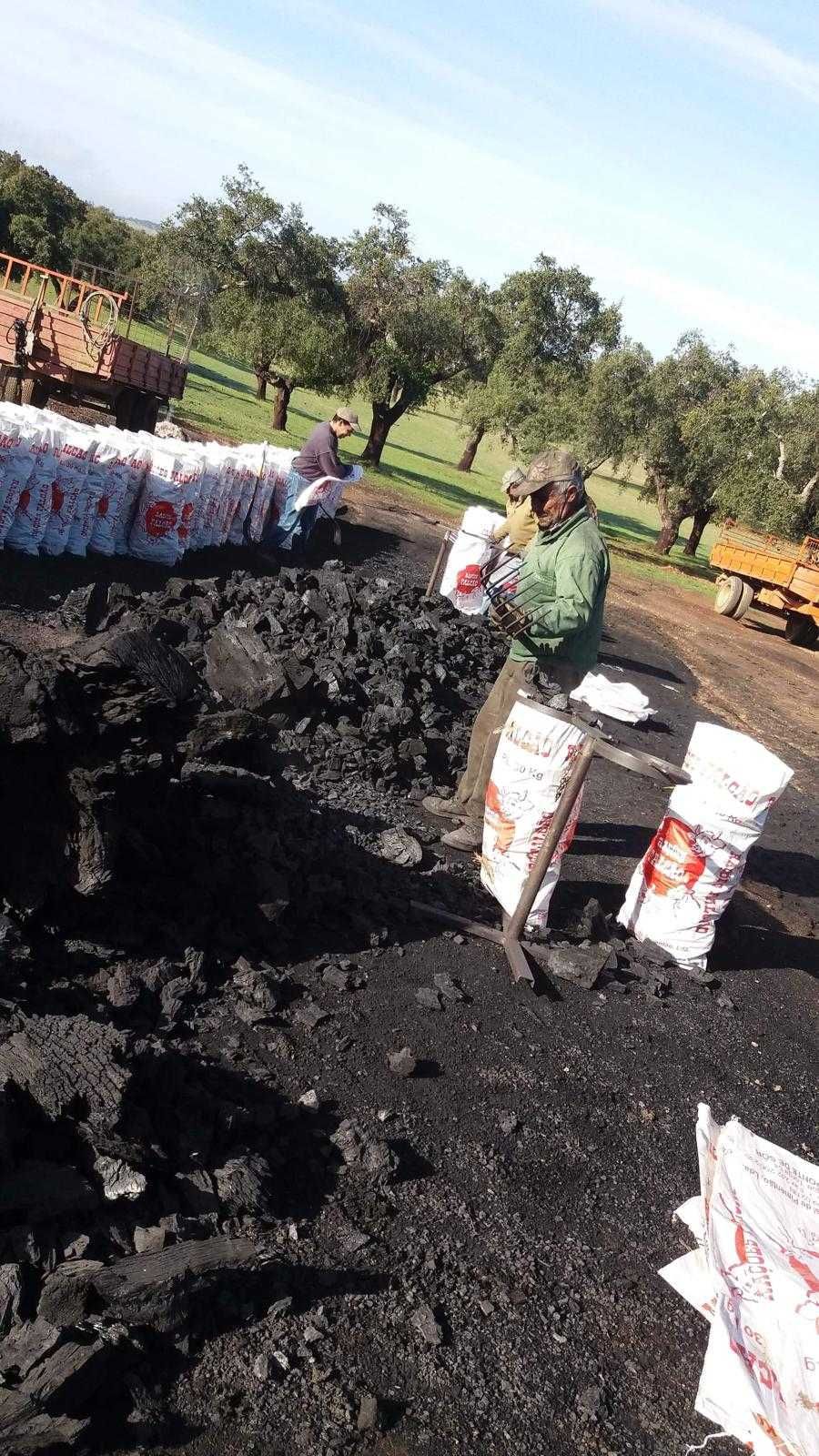 Carvão Vegetal de Azinho e Sobreiro