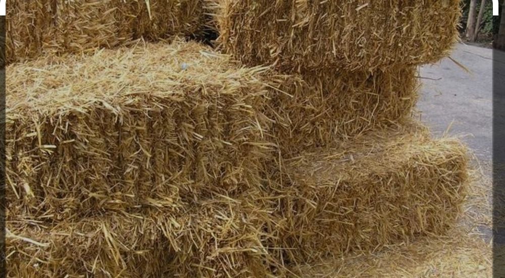 ТЕРМІНОВО ЦІНУ ЗНИЖЕНО солома та гарбузи фотозон та входних групп