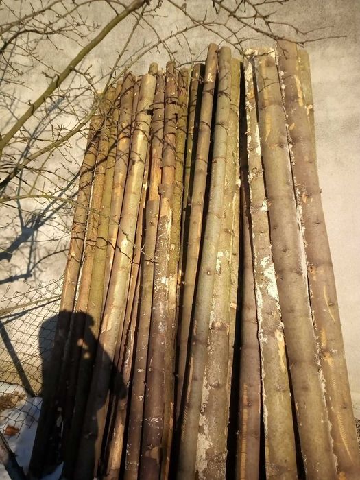 Nowe stemple budowlane