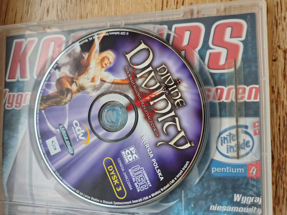 Divine Divinity Gra PC