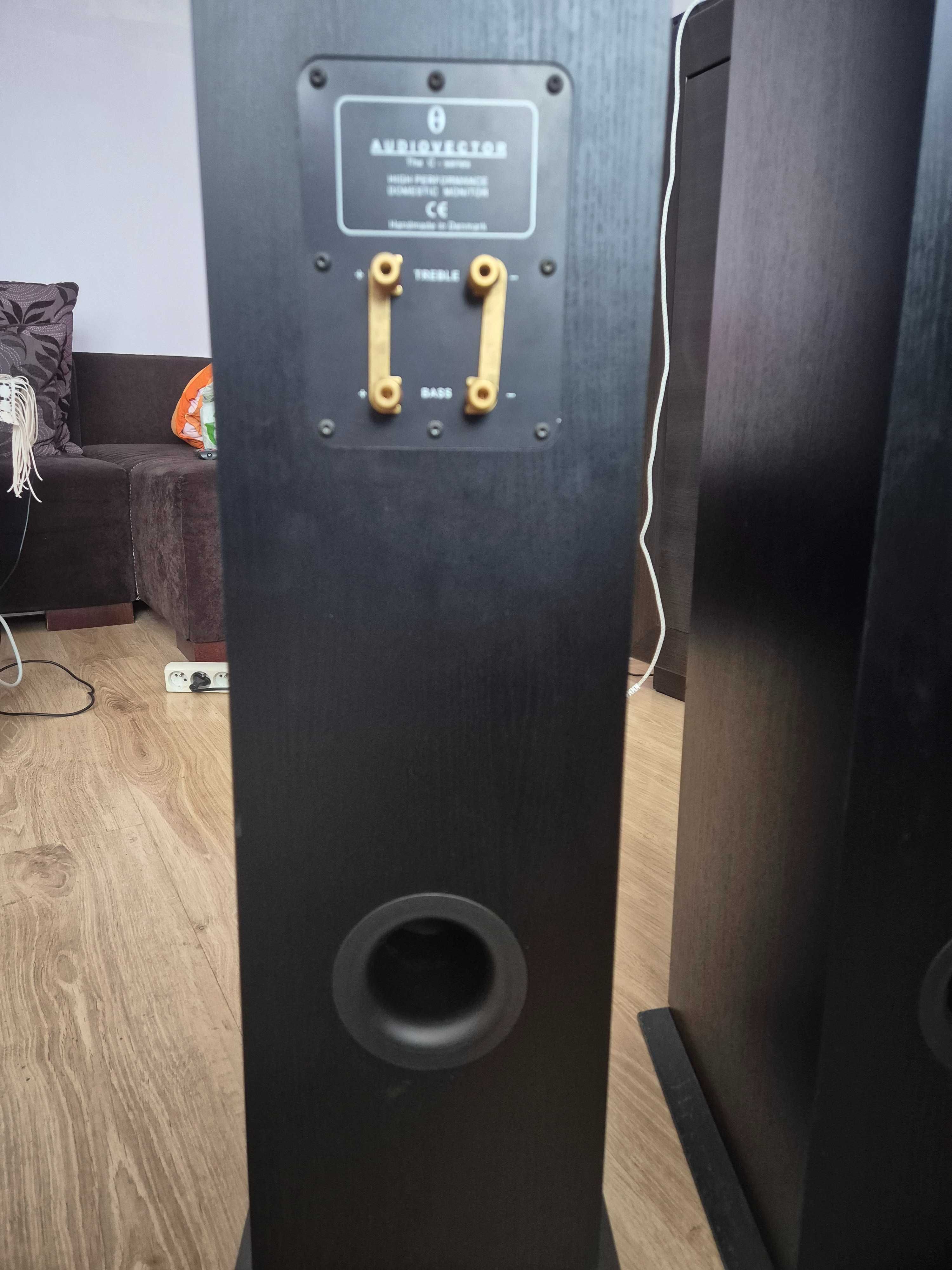 Audiovector C-3 kolumny podłogowe.Cena za komplet.