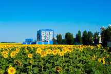 сэндвич панели ППУ - монтаж,продажа и строительство
