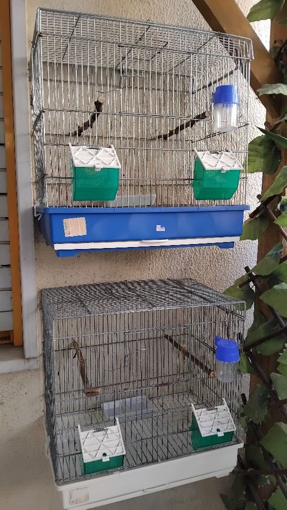 Gaiolas para aves