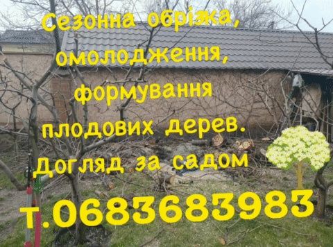 Сезонная обрезка, формирование, омоложение плодовых деревьев