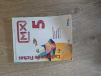 Livros e cadernos de fichas 5° Ano