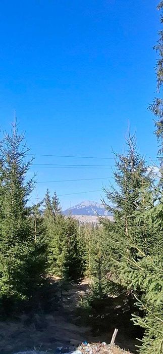 Карпати / Яблуниця 
Продаж Будинок в лісі
З виглядом на гору Хом'як.