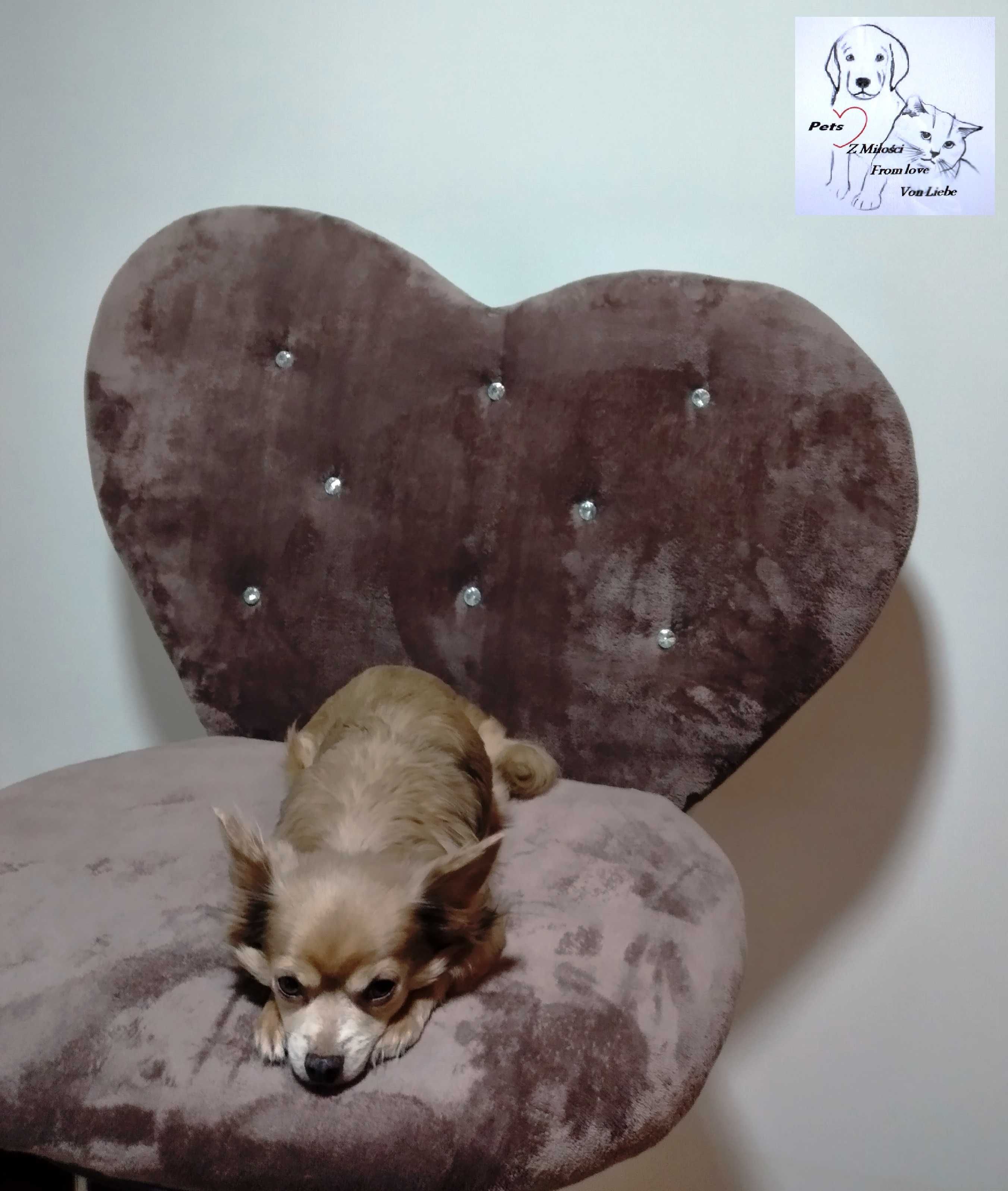 Elegancka i wygodna sofa- legowisko dla psa lub kota