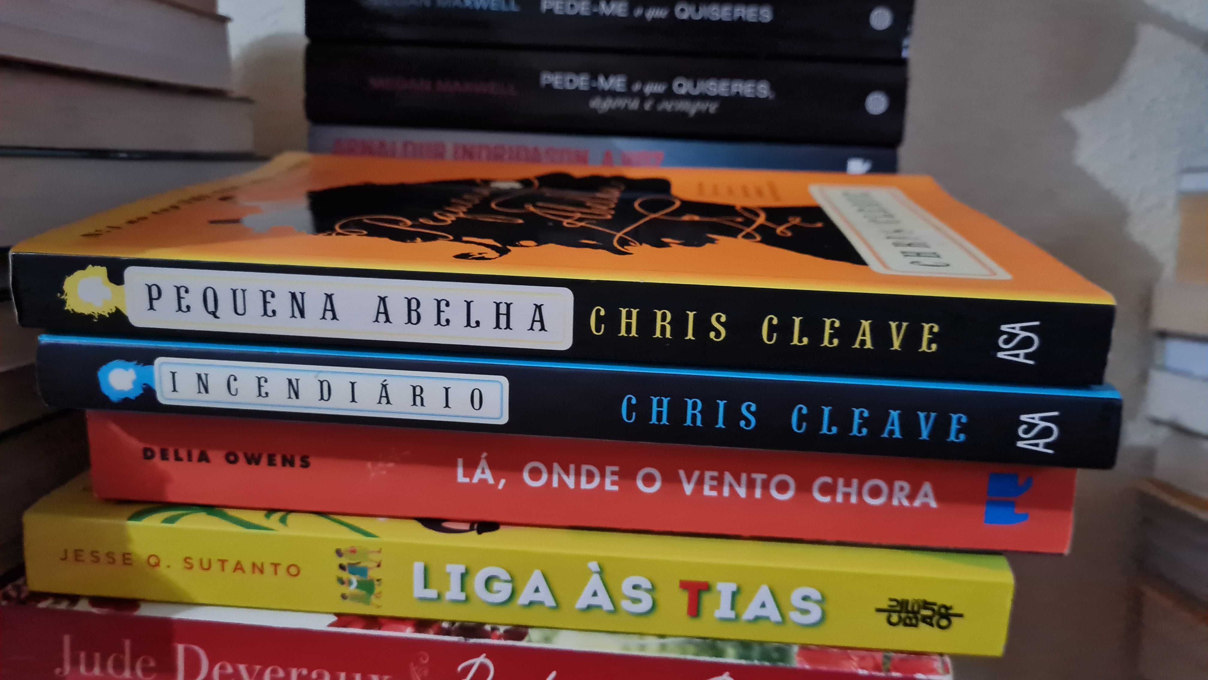 Pequena Abelha e Incendiario de Chris Cleave