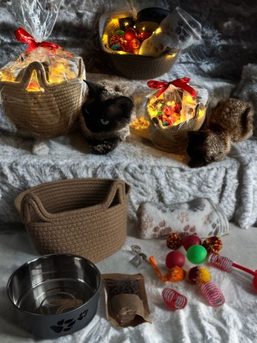 Box zestaw prezentowy swiateczny dla kota zabawki