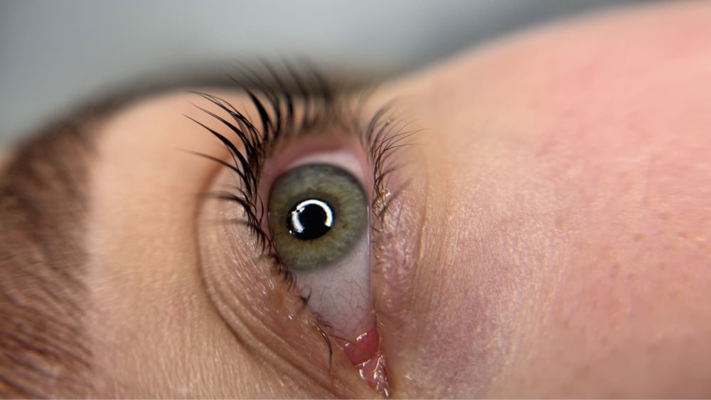 Потрібні Моделі Ламінуваня вій/Брів